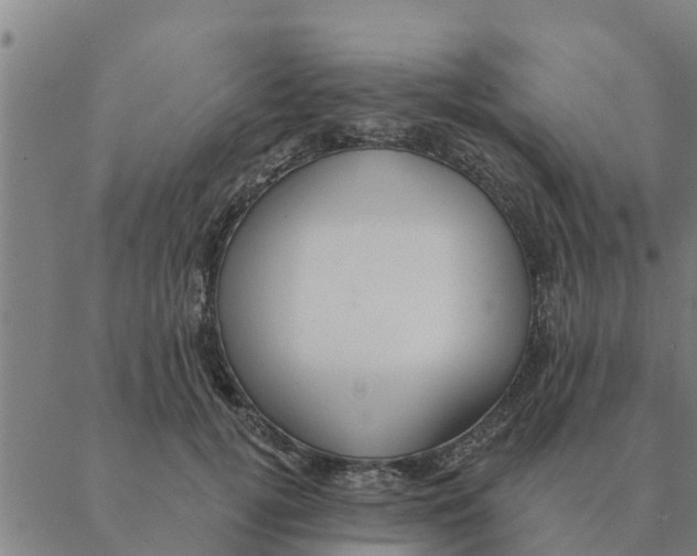 X0000088410752200706191422