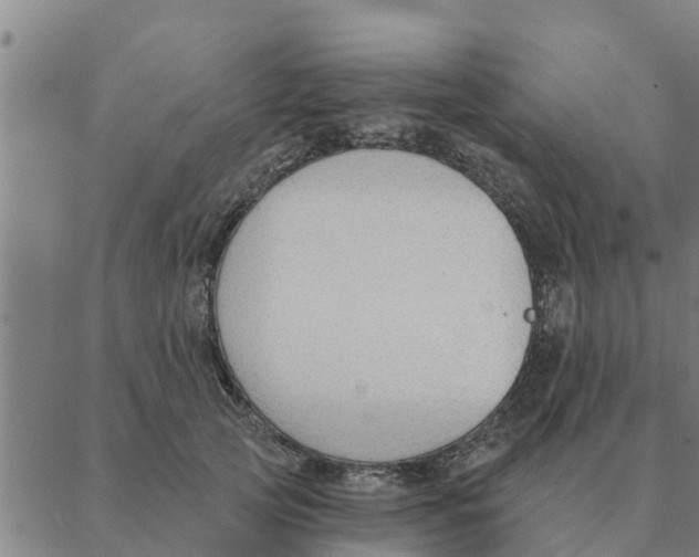 X0000088410753200706191422