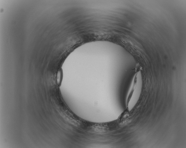 X0000088410756200706191422