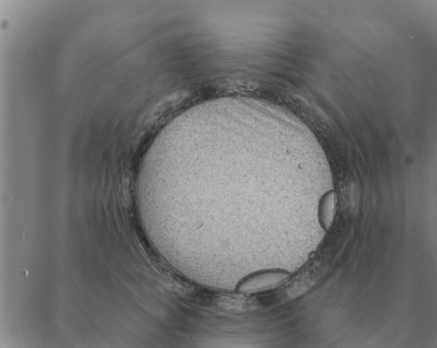 X0000088410757200706191422