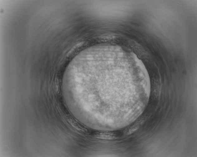 X0000088410758200706191422