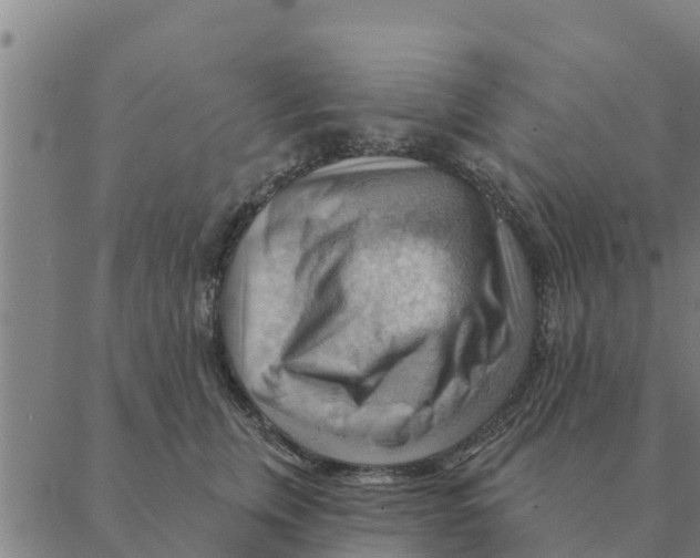 X0000088410759200706191422