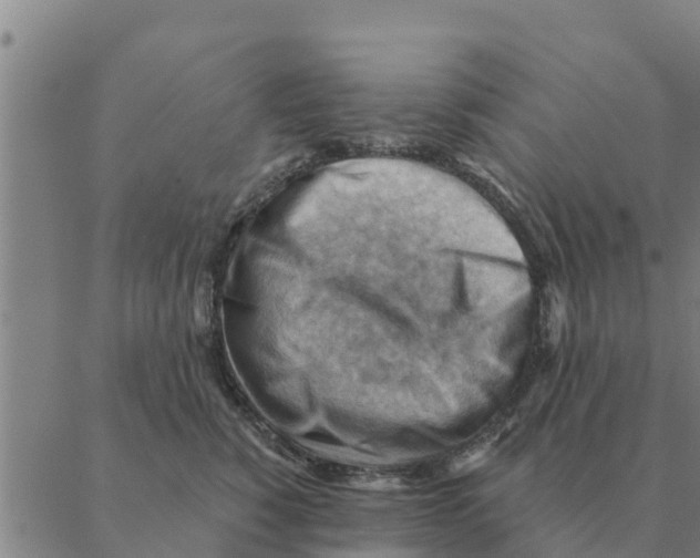 X0000088410760200706191422