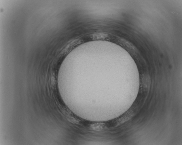 X0000088410761200706191422