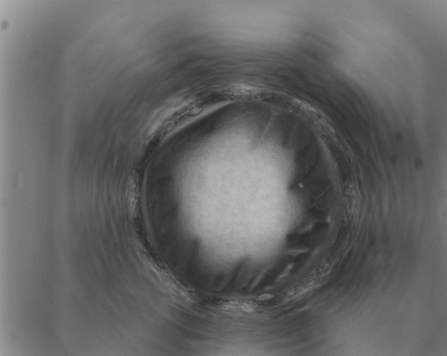 X0000088410762200706191422