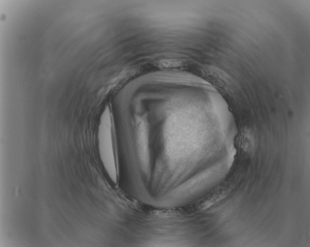 X0000088410763200706191422