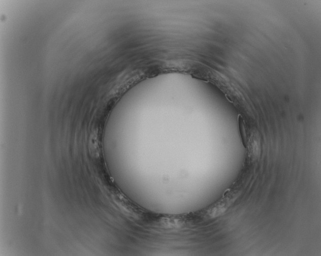 X0000088410764200706191422