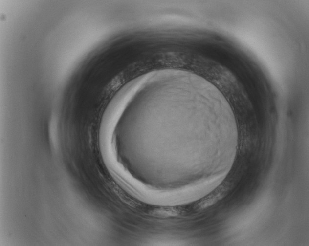 X0000088410765200706191422