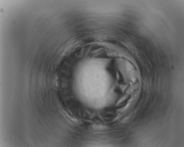 X0000088410766200706191422