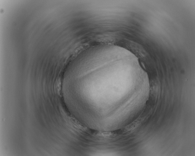 X0000088410767200706191422