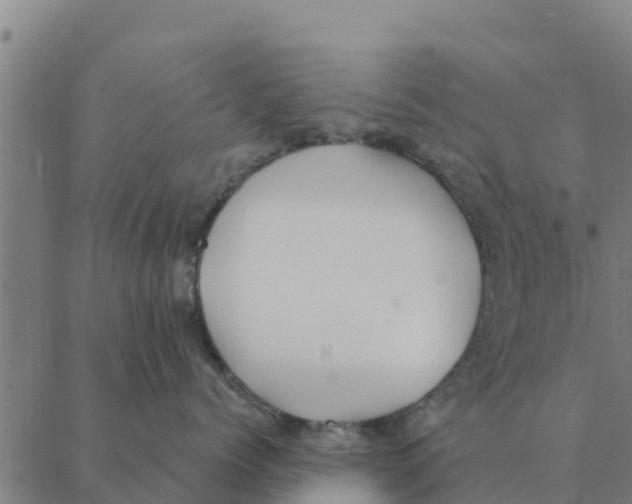 X0000088410768200706191422