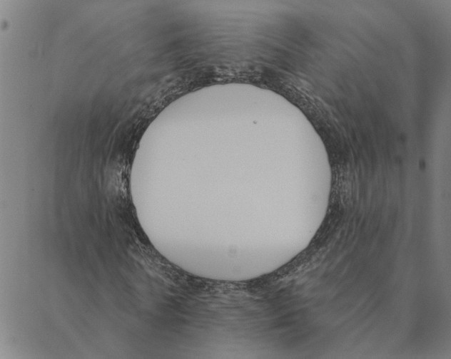 X0000088410770200706191421