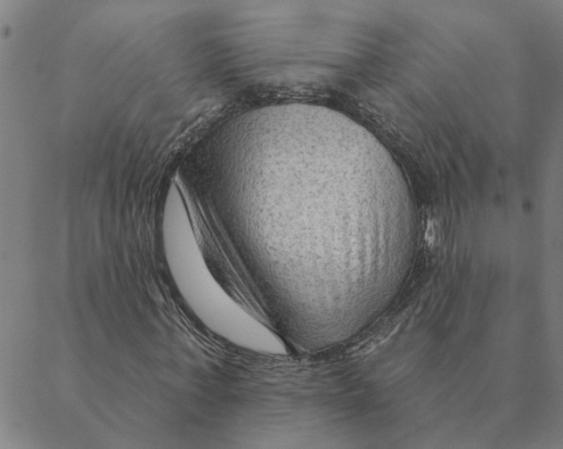 X0000088410771200706191421