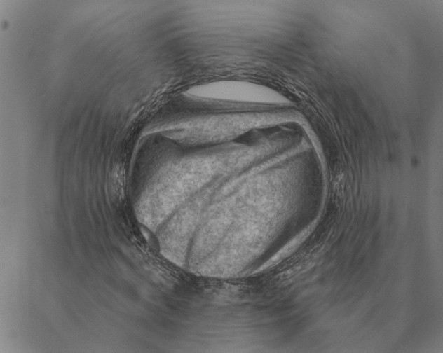 X0000088410772200706191421