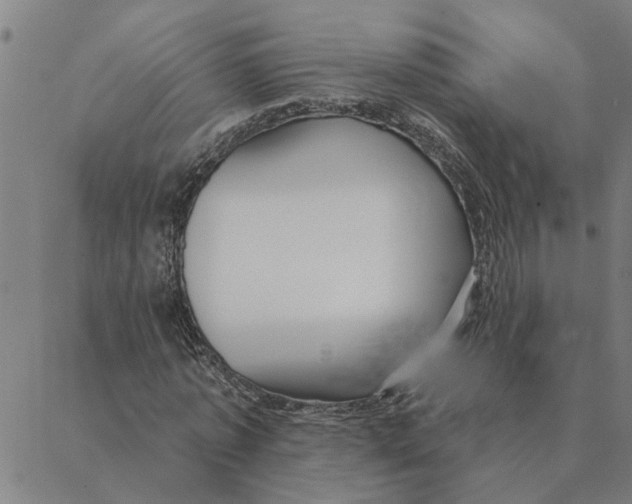 X0000088410773200706191421