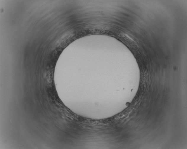 X0000088410774200706191421