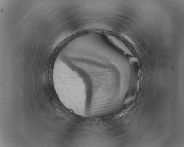 X0000088410775200706191421