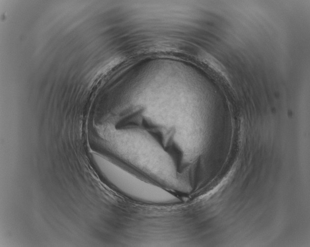 X0000088410777200706191421