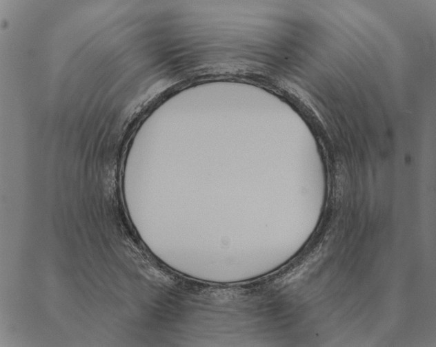 X0000088410778200706191421