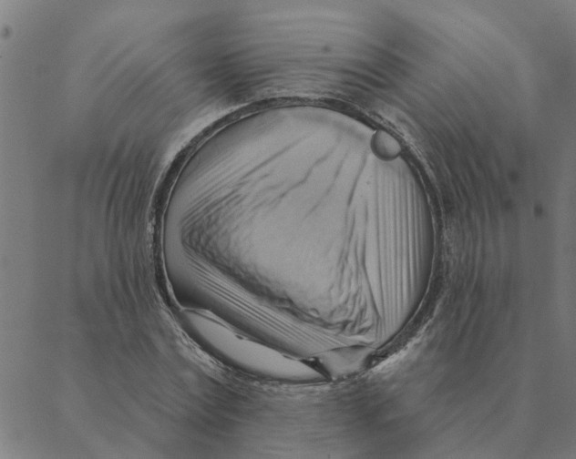 X0000088410779200706191421