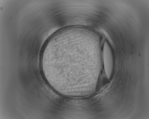 X0000088410780200706191421