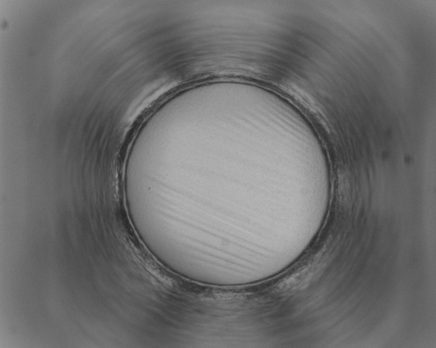 X0000088410782200706191421