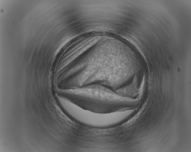 X0000088410783200706191421