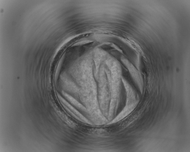 X0000088410784200706191421