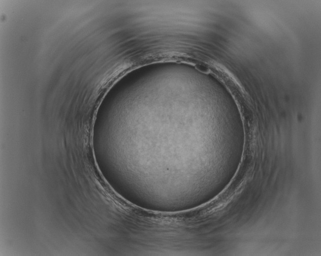 X0000088410785200706191421