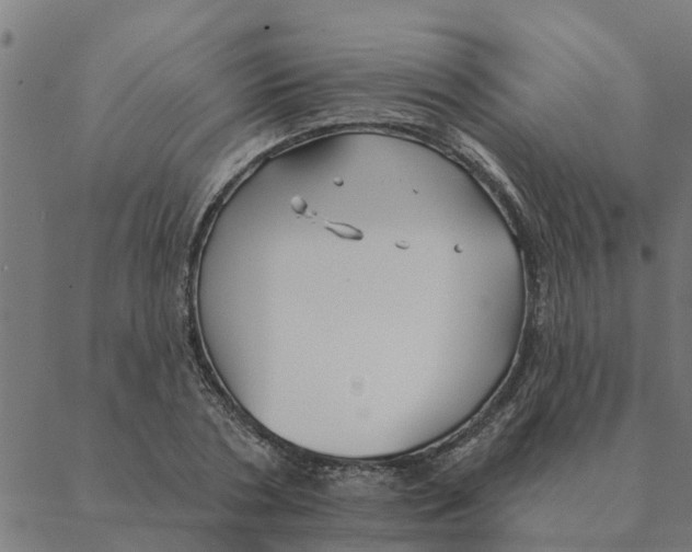 X0000088410786200706191421