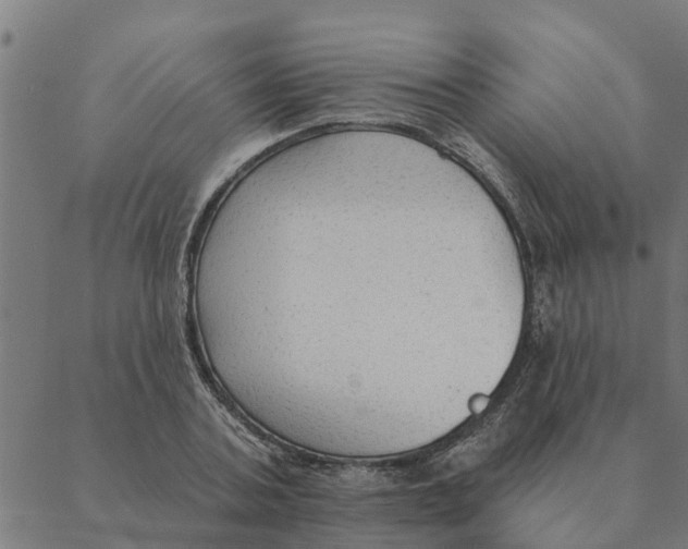 X0000088410787200706191421