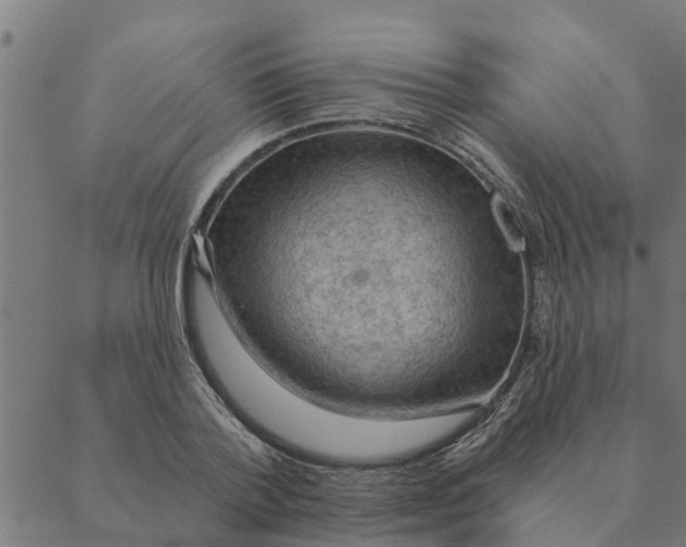 X0000088410788200706191421