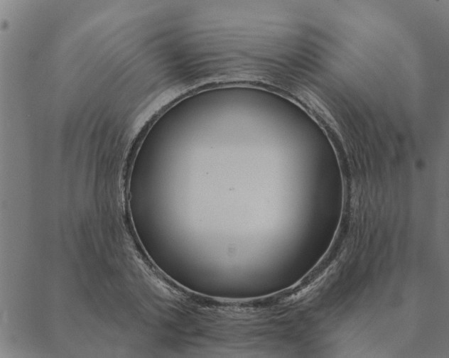 X0000088410789200706191421