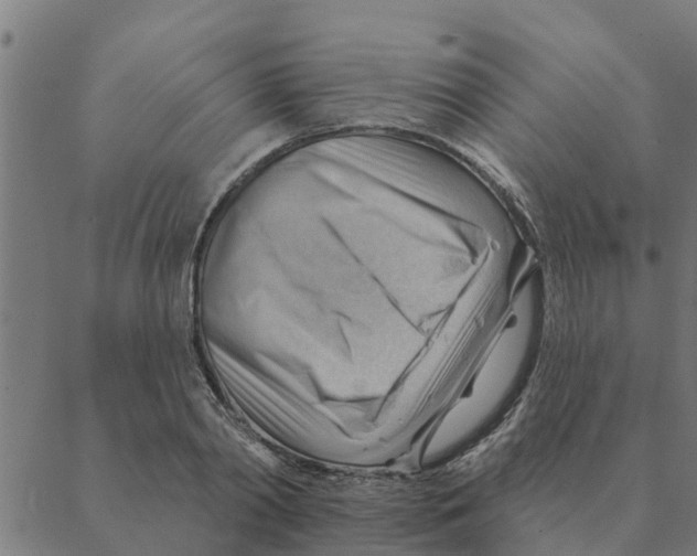 X0000088410790200706191421