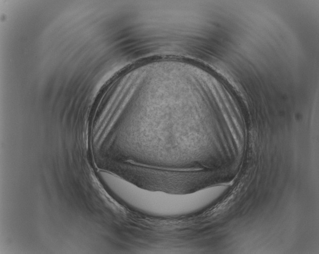 X0000088410791200706191421