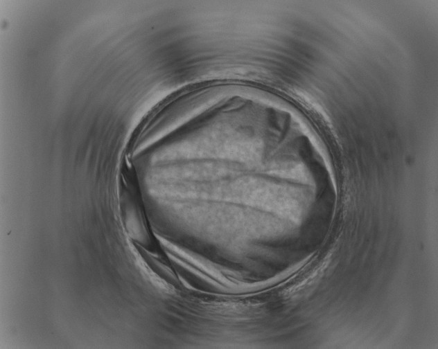 X0000088410792200706191421