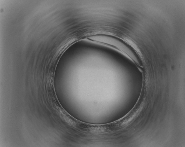 X0000088410793200706191421