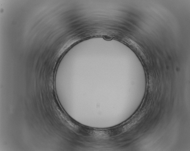 X0000088410794200706191421