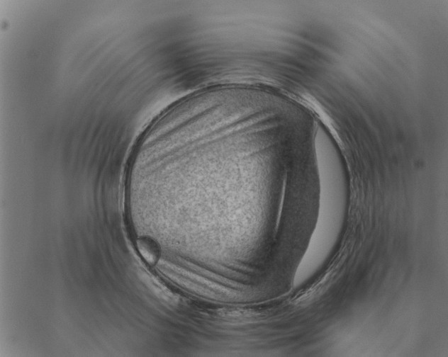 X0000088410795200706191421