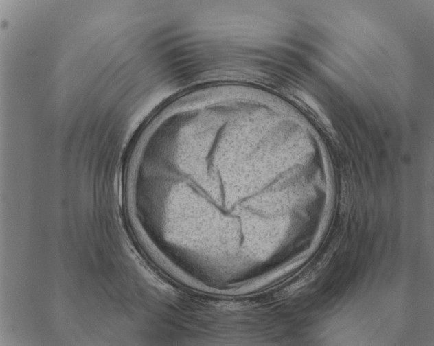 X0000088410796200706191421