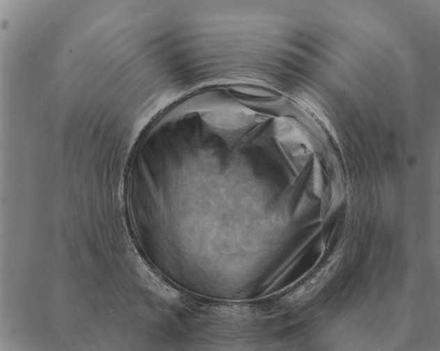 X0000088410797200706191421