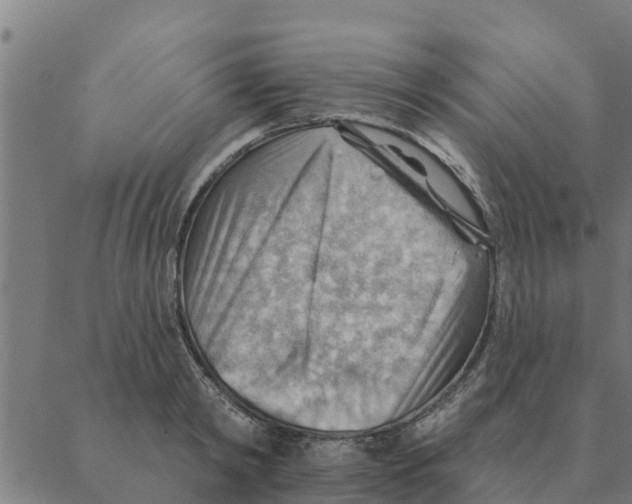 X0000088410798200706191421