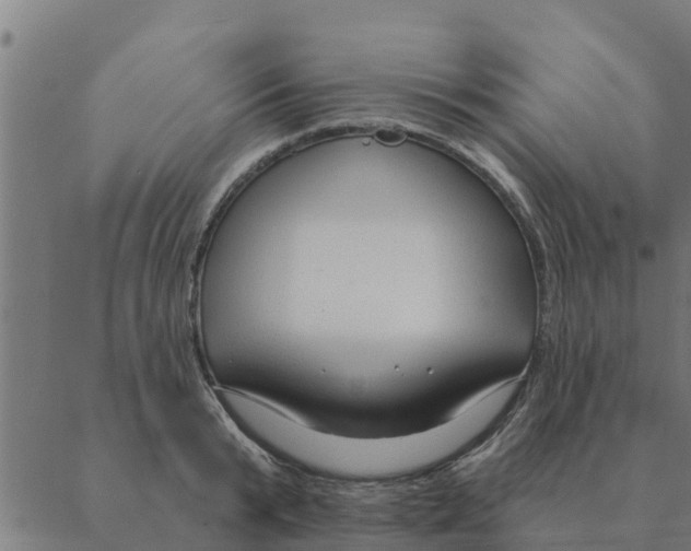 X0000088410799200706191421