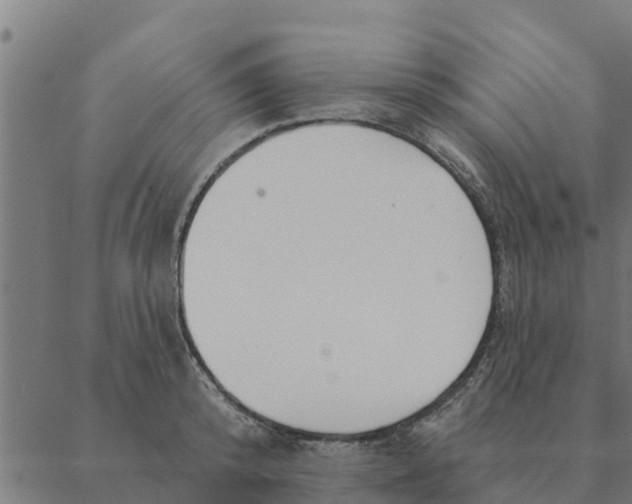 X0000088410800200706191421