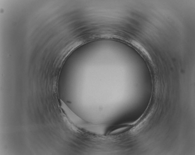 X0000088410801200706191421