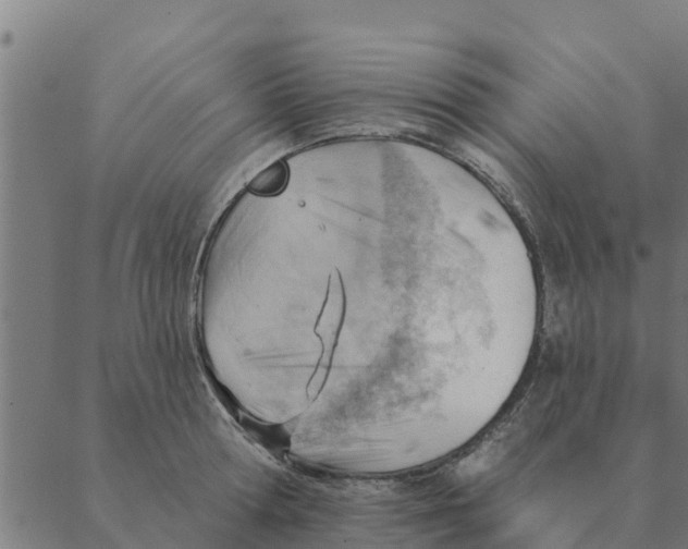 X0000088410802200706191421