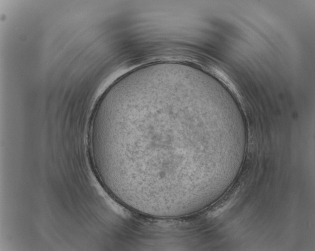 X0000088410803200706191421