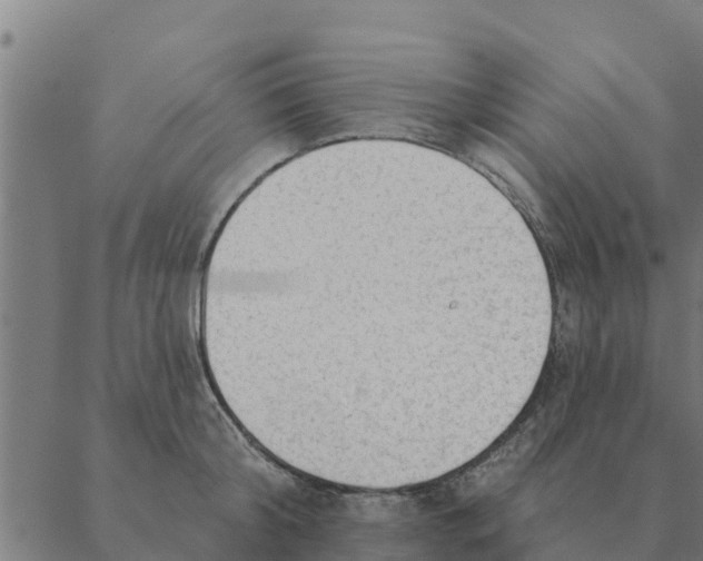 X0000088410804200706191421