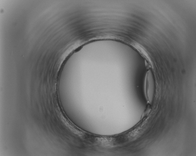 X0000088410805200706191421