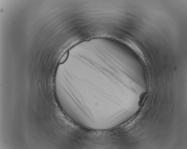 X0000088410806200706191421